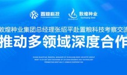 敦煌种业最新爆料