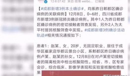 成都风控爆料最新消息,揭秘金融风险背后的真相与应对策略