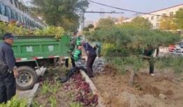 巨鹿爆料最新消息今天