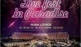 酒店派对最新爆料文案怎么写,奢华狂欢背后的精彩瞬间