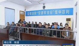 包河区政府爆料事件最新,事件真相逐步浮出水面